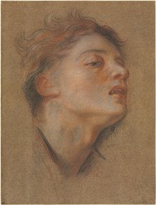 Head of a Young Man by Antoine Coypel