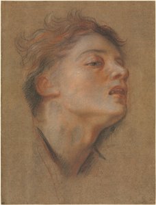 Head of a Young Man, 1715-1717 by Antoine Coypel