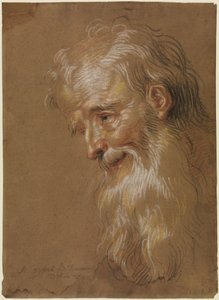 Head of a Bearded Old Man by Antoine Coypel