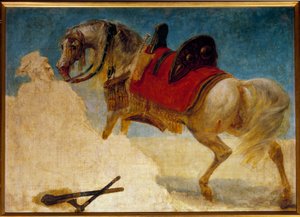 Study of Horse Harness