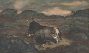 Bear Killing Bull
