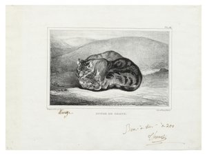 Study of Cats by Antoine Louis Barye
