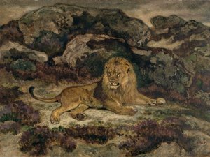 Lion Reclining