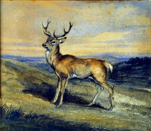 The Deer by Antoine Louis Barye