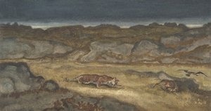 Tiger Stalking Prey