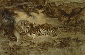 Tiger at Rest