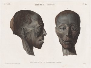 Description of Egypt: Thebes. Hypogees Vol. II, Pl. 49