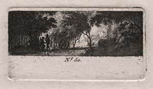 View of a Woods