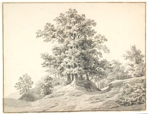 Landscape with Large Trees by the Elbe. Buxtehude