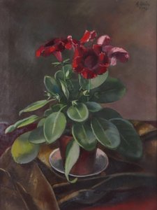 Potted Plant