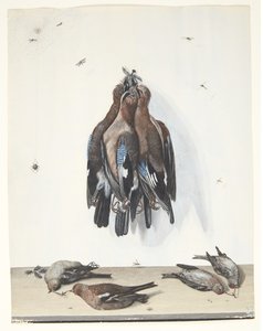 Still Life with Birds by Anton Ignaz Hamilton