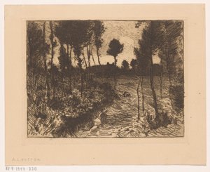 Forest Path at Evening