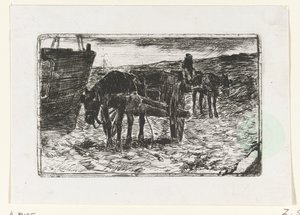 Carts on the Beach