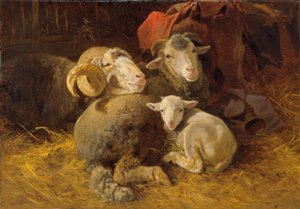 Sheep in the Stable by Anton Schrodl