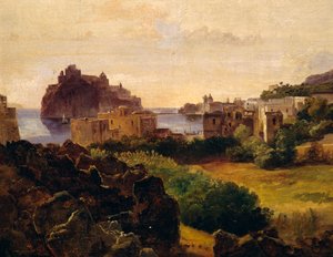 View of Ischia with castle