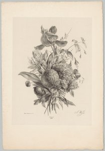 Carnations and Lilies (Flower and Fruit Studies, 10th installment)