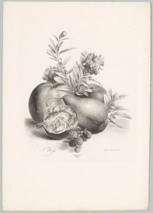 Flowers, Apples, Pear, Pomegranate, and Blackberries (Flower and Fruit Studies, 10th installment)