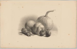 Pumpkin, Peaches, Apricot, Plums, and Hazelnuts (Flower and Fruit Studies, 3rd Issue)