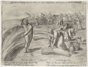 The Harvest