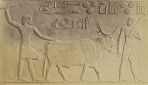 Sacred Bull at Saqqara
