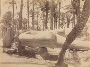 Statue of Ramesses at Saqqara, c. 1870s-1880s