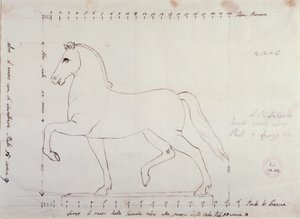 Study for a horse for an equestrian monument