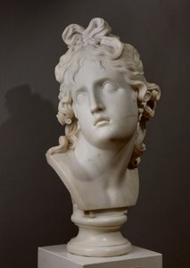 The Genius of Death