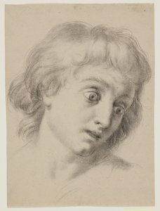 Head of a Boy