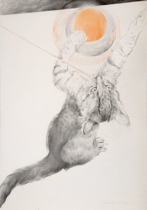 Unknown Image