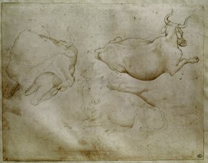 Two cows and a juniper. Drawing by Antonio di Puccio Pisano dit Pisanello