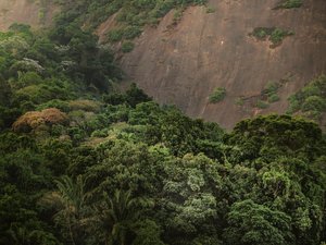 Corcovado XV, 2020 by Antonio Schubert