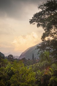 Serra dos Órgãos VIII, Petrópolis, Rio de Janeiro, Brazil, 2025