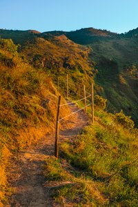 Trail