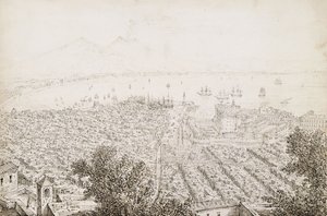 Panoramic View of Naples