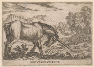 A Unicorn Chasing Lizards from a Pond by Antonio Tempesta