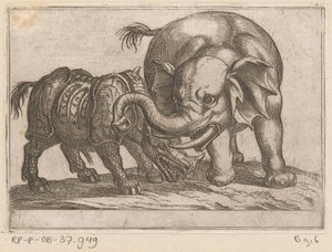 A rhinoceros fights with an elephant by Antonio Tempesta