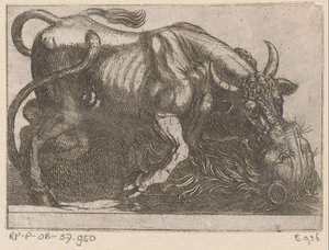 A Bull Fighting with a Lion by Antonio Tempesta
