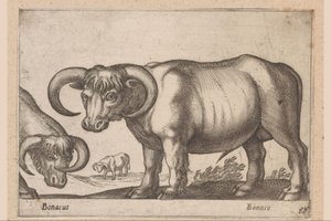 Cattle by Antonio Tempesta
