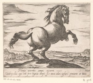 Rearing Horse Facing Right (series title: Horses from Different Countries) by Antonio Tempesta