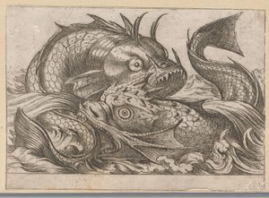 Two Fighting Fish (Fighting Animals) by Antonio Tempesta
