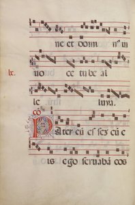 Decorated Initial P