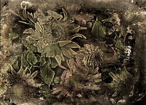 Artfloral No.5-2, 2015 by Antonius Antonius
