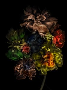 Flowers 13-1, 2025 by Antonius Antonius