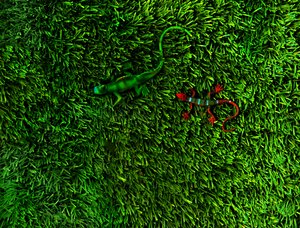 Grass-4, 2014