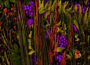 Magic Garden No.39-3, 2019