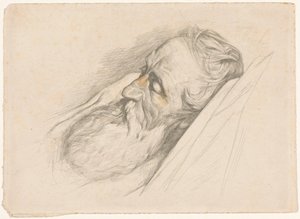 Sleeping Man with Beard