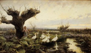 The little goose keeper