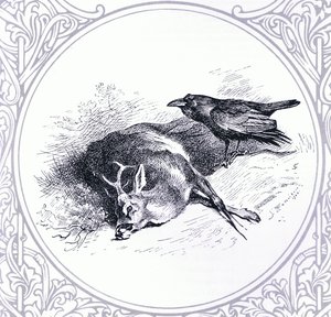 Deer and Raven, pub. by Book Club Associates