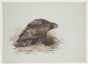 Golden Eagle, c.1915 by Archibald Thorburn