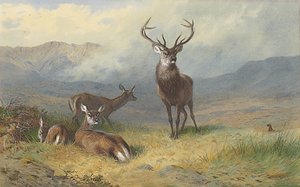 Monarch of the Glen by Archibald Thorburn